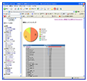 高機能アクセス解析ソフト